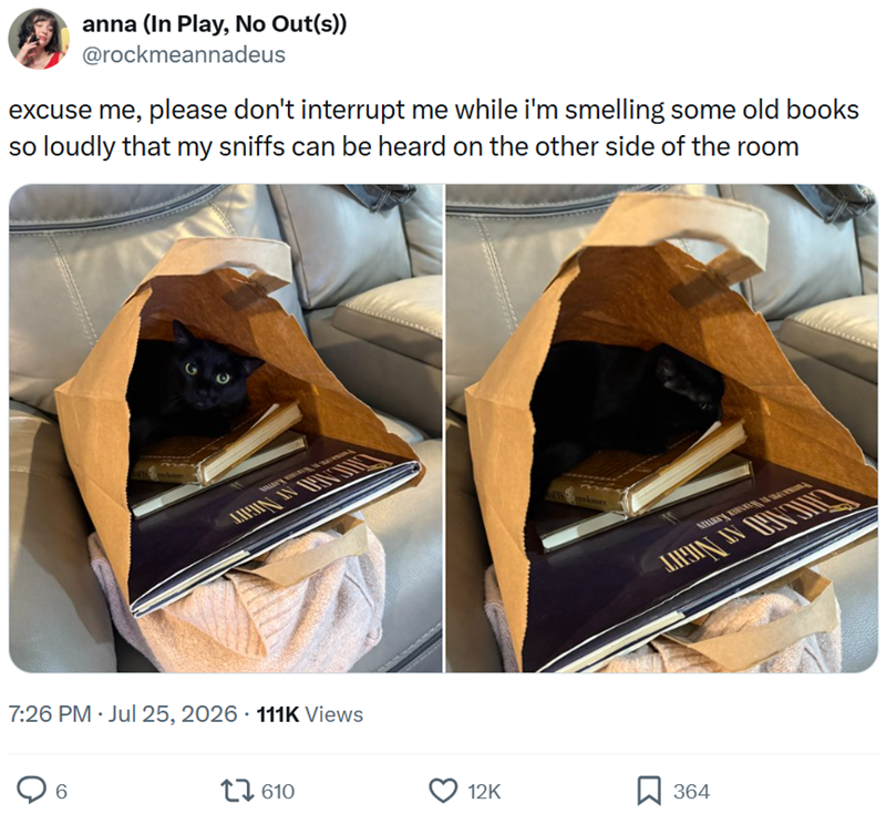 anna (In Play, No Out(s)) @rockmeannadeus excuse me, please don't interrupt me while i'm smelling some old books so loudly that my sniffs can be heard on the other side of the room 7:26 PM - Jul 25, 2026 111K Views 6 610 kore 12K ☐ 364