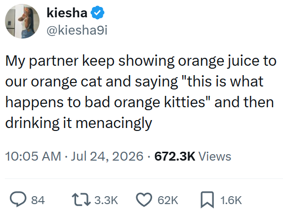kiesha @kiesha9i My partner keep showing orange juice to our orange cat and saying "this is what happens to bad orange kitties" and then drinking it menacingly 10:05 AM ⚫ Jul 24, 2026 672.3K Views • • > 84 13.3K 62K ☐ 1.6K