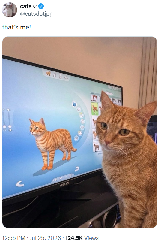 cats @catsdotjpg that's me! 0114 ASUS 12:55 PM ⚫ Jul 25, 2026 · 124.5K Views ח