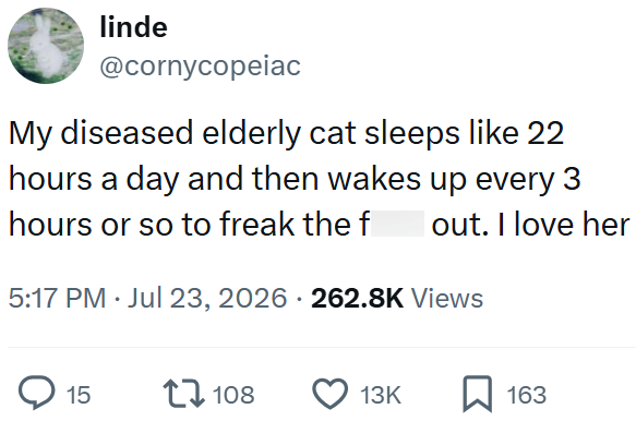 linde @cornycopeiac My diseased elderly cat sleeps like 22 hours a day and then wakes up every 3 hours or so to freak the f I out. I love her 5:17 PM ⚫ Jul 23, 2026 262.8K Views 15 17108 13K ☐ 163