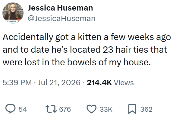 Jessica Huseman @JessicaHuseman Accidentally got a kitten a few weeks ago and to date he's located 23 hair ties that were lost in the bowels of my house. 5:39 PM Jul 21, 2026 214.4K Views 54 17676 33K 362