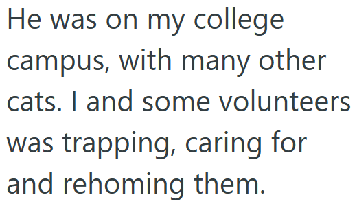 He was on my college campus, with many other cats. I and some volunteers was trapping, caring for and rehoming them.
