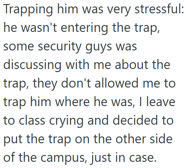 Trapping him was very stressful: he wasn't entering the trap, some security guys was discussing with me about the trap, they don't allowed me to trap him where he was, I leave to class crying and decided to put the trap on the other side of the campus, just in case.