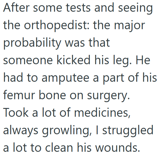 After some tests and seeing the orthopedist: the major probability was that someone kicked his leg. He had to amputee a part of his femur bone on surgery. Took a lot of medicines, always growling, I struggled a lot to clean his wounds.