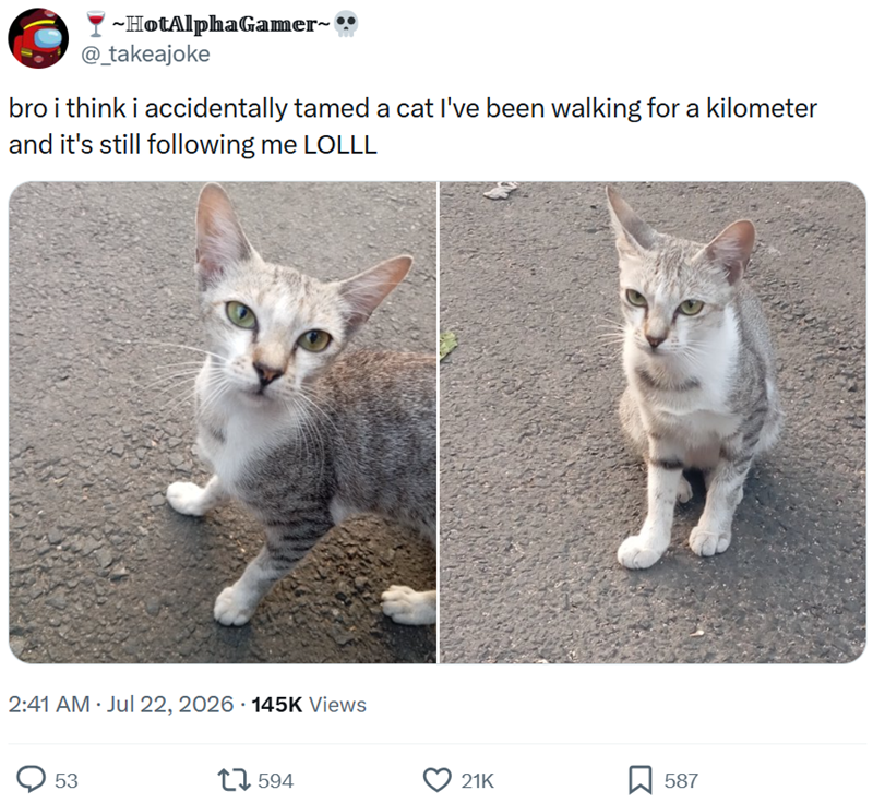 ~HotAlphaGamer~ @_takeajoke bro i think i accidentally tamed a cat I've been walking for a kilometer and it's still following me LOLLL 2:41 AM · Jul 22, 2026 145K Views . 53 17594 21K 587