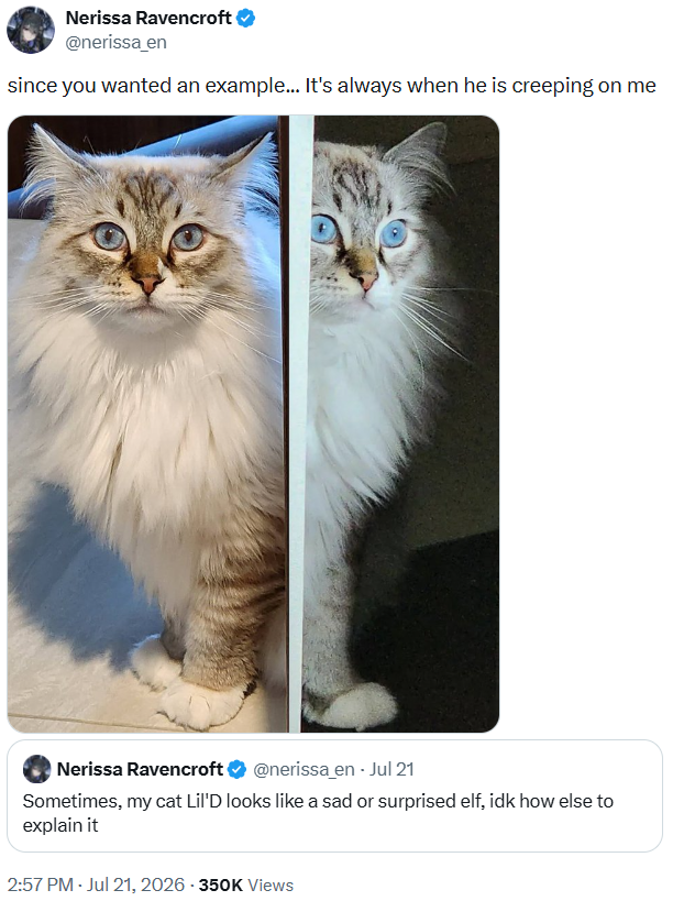 Nerissa Ravencroft @nerissa_en since you wanted an example... It's always when he is creeping on me Nerissa Ravencroft ❤ @nerissa_en - Jul 21 Sometimes, my cat Lil'D looks like a sad or surprised elf, idk how else to explain it 2:57 PM - Jul 21, 2026-350K Views