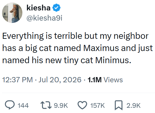kiesha @kiesha9i Everything is terrible but my neighbor has a big cat named Maximus and just named his new tiny cat Minimus. 12:37 PM ⚫ Jul 20, 2026 1.1M Views 144 17 9.9K 157K 2.9K