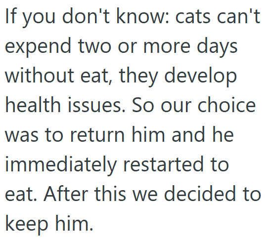 If you don't know: cats can't expend two or more days without eat, they develop health issues. So our choice was to return him and he immediately restarted to eat. After this we decided to keep him.