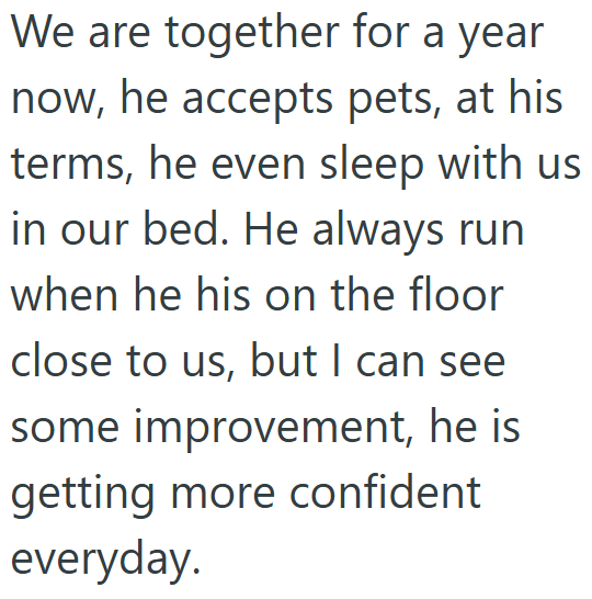 We are together for a year now, he accepts pets, at his terms, he even sleep with us in our bed. He always run when he his on the floor close to us, but I can see some improvement, he is getting more confident everyday.