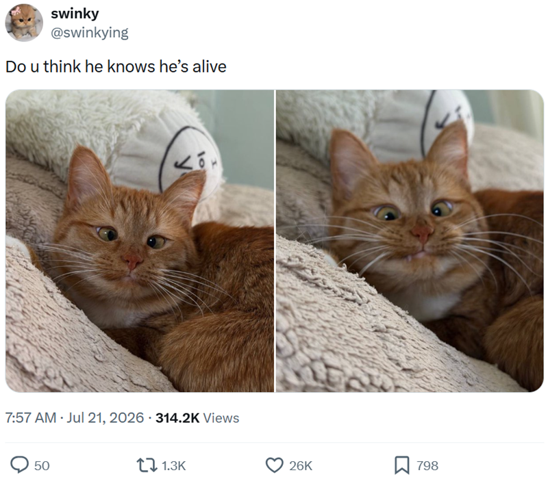 swinky @swinkying Do u think he knows he's alive 7:57 AM · Jul 21, 2026 314.2K Views 50 1.3K 26K ☐ 798
