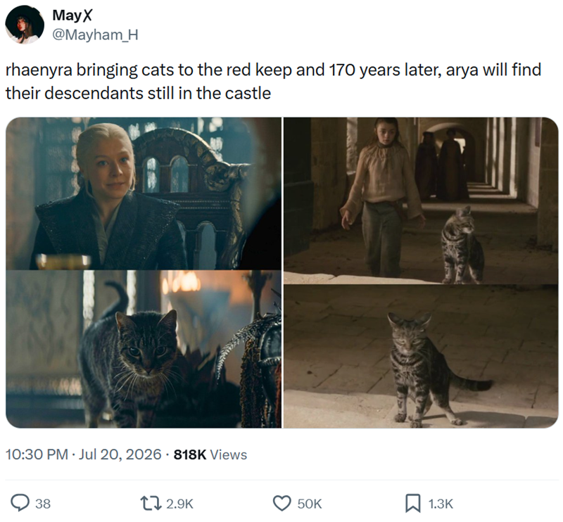 MayX @Mayham_H rhaenyra bringing cats to the red keep and 170 years later, arya will find their descendants still in the castle 10:30 PM ⚫ Jul 20, 2026 - 818K Views . 38 12.9K 50K ☐ 1.3K