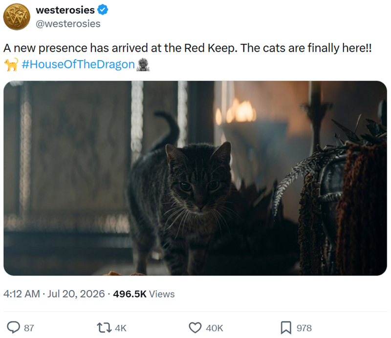 westerosies @westerosies A new presence has arrived at the Red Keep. The cats are finally here!! #HouseOfTheDragon • 4:12 AM Jul 20, 2026 496.5K Views • 87 14K 40K 978