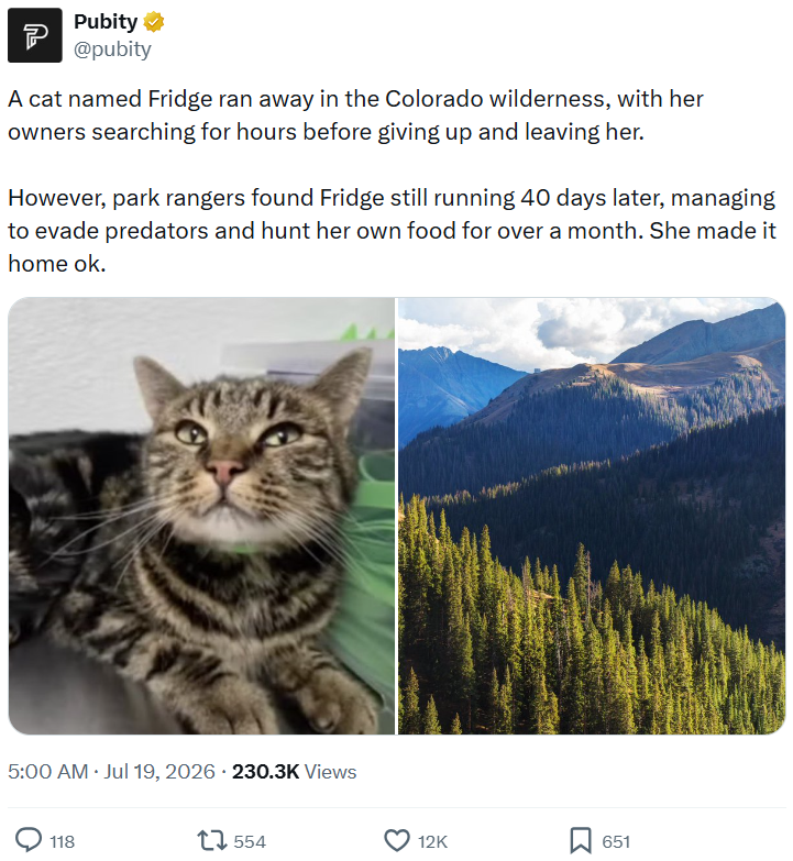 P Pubity ⭑✔ @pubity A cat named Fridge ran away in the Colorado wilderness, with her owners searching for hours before giving up and leaving her. However, park rangers found Fridge still running 40 days later, managing to evade predators and hunt her own food for over a month. She made it home ok. 5:00 AM ⚫ Jul 19, 2026 - 230.3K Views 118 17554 12K 651