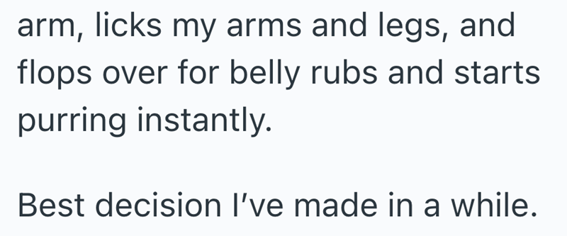 arm, licks my arms and legs, and flops over for belly rubs and starts purring instantly. Best decision I've made in a while.