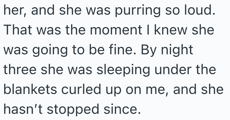 her, and she was purring so loud. That was the moment I knew she was going to be fine. By night three she was sleeping under the blankets curled up on me, and she hasn't stopped since.