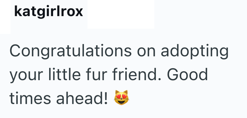 katgirlrox Congratulations on adopting your little fur friend. Good times ahead!
