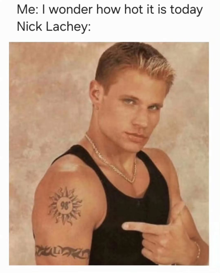 Me: I wonder how hot it is today Nick Lachey: 98 HALORS