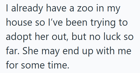 I already have a zoo in my house so I've been trying to adopt her out, but no luck so far. She may end up with me for some time.