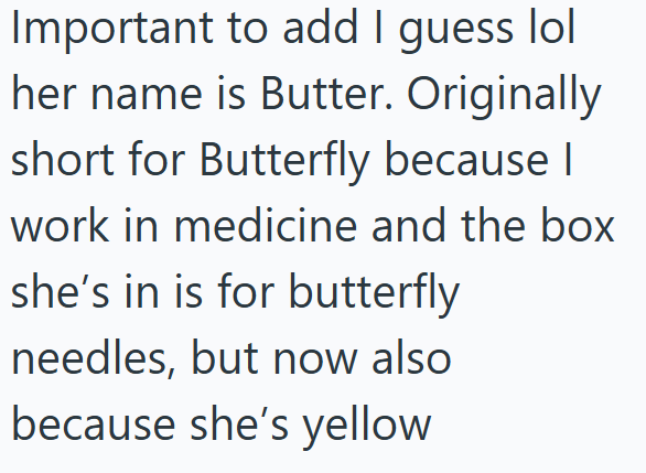 Important to add I guess lol her name is Butter. Originally short for Butterfly because I work in medicine and the box she's in is for butterfly needles, but now also because she's yellow