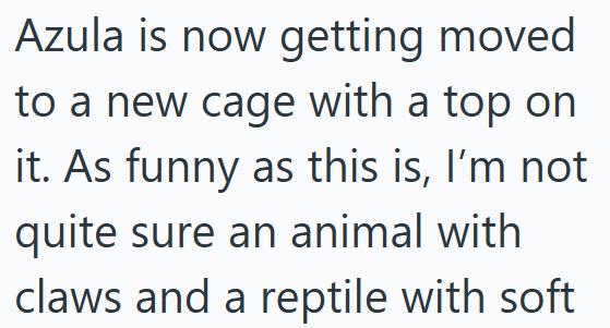 Azula is now getting moved to a new cage with a top on it. As funny as this is, I'm not quite sure an animal with claws and a reptile with soft