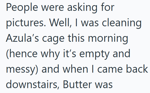 People were asking for pictures. Well, I was cleaning Azula's cage this morning (hence why it's empty and messy) and when I came back downstairs, Butter was