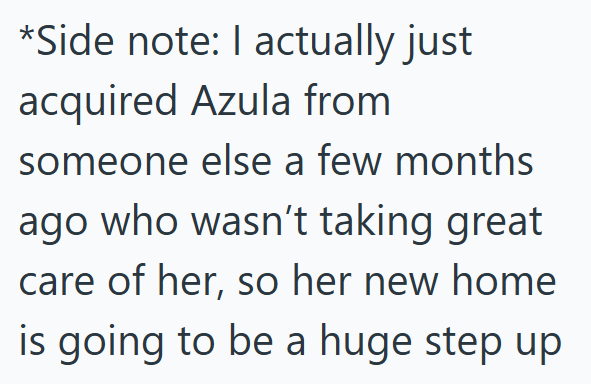 *Side note: I actually just acquired Azula from someone else a few months ago who wasn't taking great care of her, so her new home is going to be a huge step up