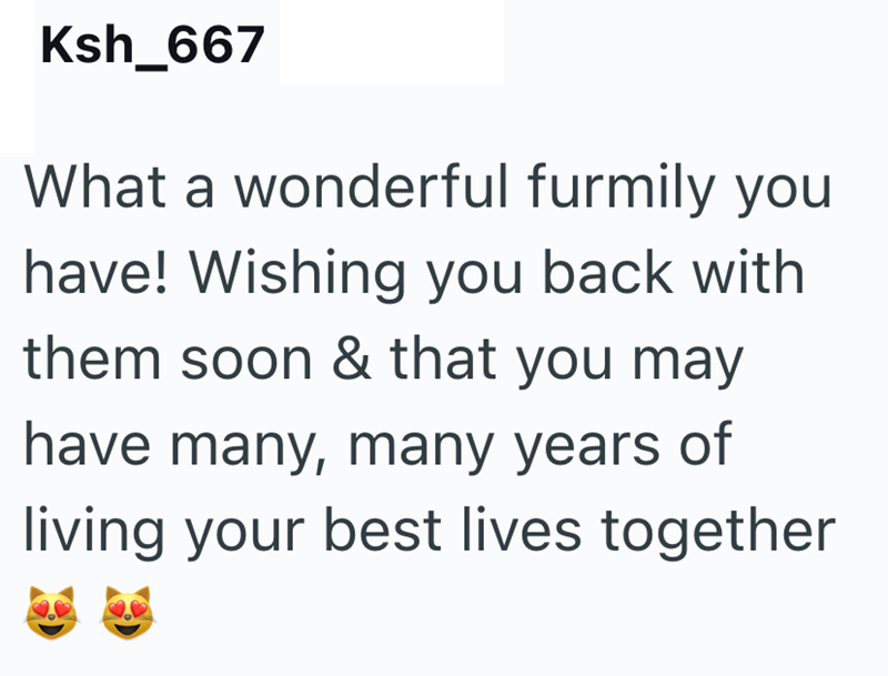 Ksh_667 What a wonderful furmily you have! Wishing you back with them soon & that you may have many, many years of living your best lives together
