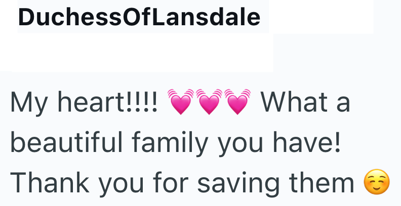 DuchessOfLansdale My heart!!!!♥♥ What a beautiful family you have! Thank you for saving them