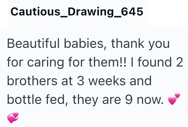 Cautious_Drawing_645 Beautiful babies, thank you for caring for them!! I found 2 brothers at 3 weeks and bottle fed, they are 9 now.