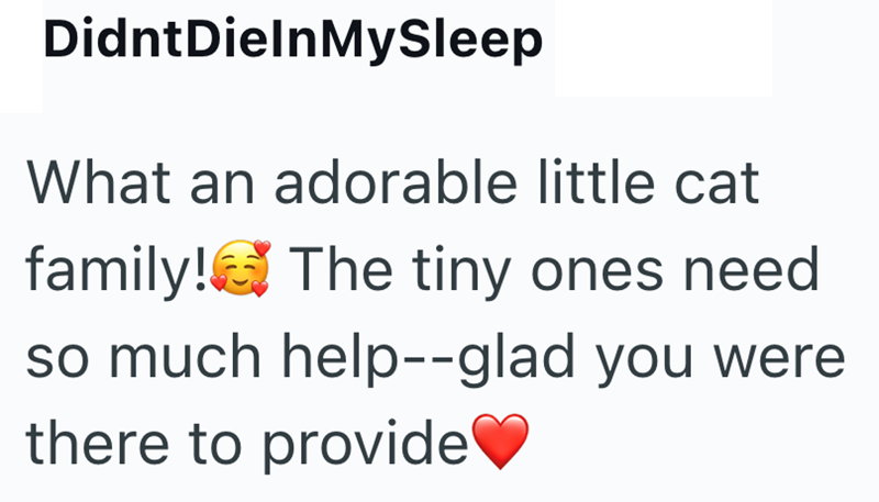 DidntDielnMySleep What an adorable little cat family! The tiny ones need so much help--glad you were there to provide