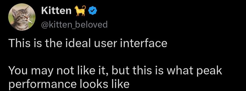 Kitten @kitten_beloved This is the ideal user interface You may not like it, but this is what peak performance looks like