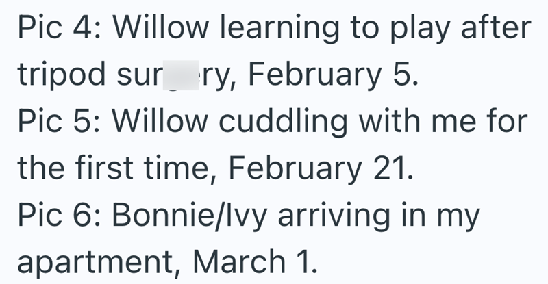 Pic 4: Willow learning to play after tripod sur_ry, February 5. Pic 5: Willow cuddling with me for the first time, February 21. Pic 6: Bonnie/Ivy arriving in my apartment, March 1.