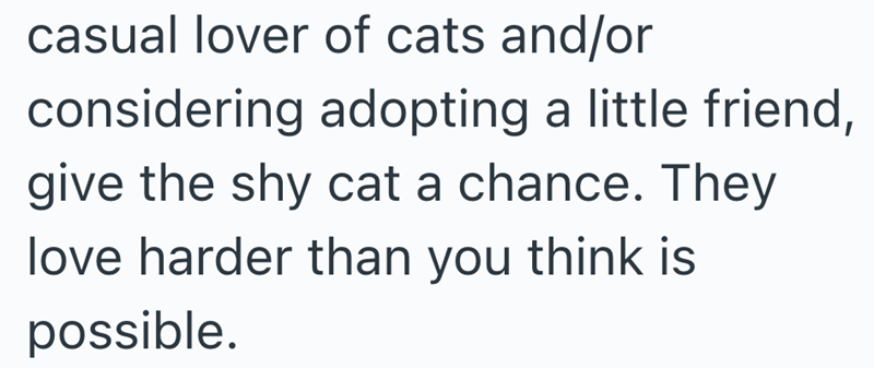 casual lover of cats and/or considering adopting a little friend, give the shy cat a chance. They love harder than you think is possible.