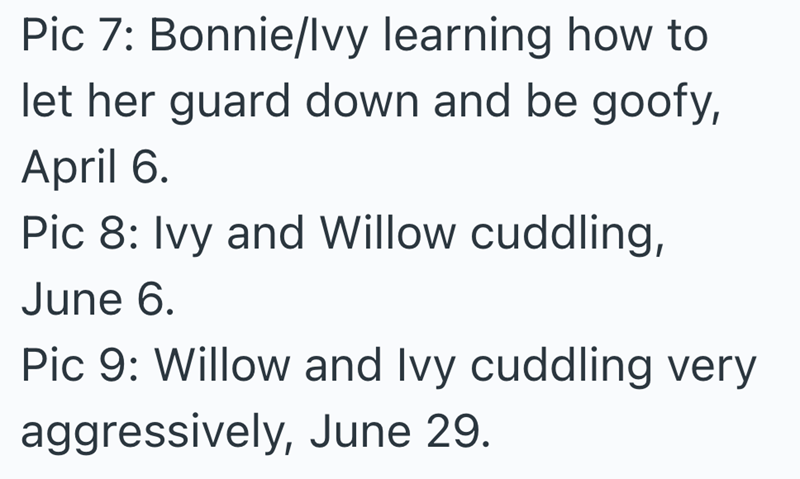 Pic 7: Bonnie/Ivy learning how to let her guard down and be goofy, April 6. Pic 8: Ivy and Willow cuddling, June 6. Pic 9: Willow and Ivy cuddling very aggressively, June 29.