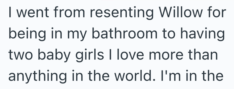 I went from resenting Willow for being in my bathroom to having two baby girls I love more than anything in the world. I'm in the
