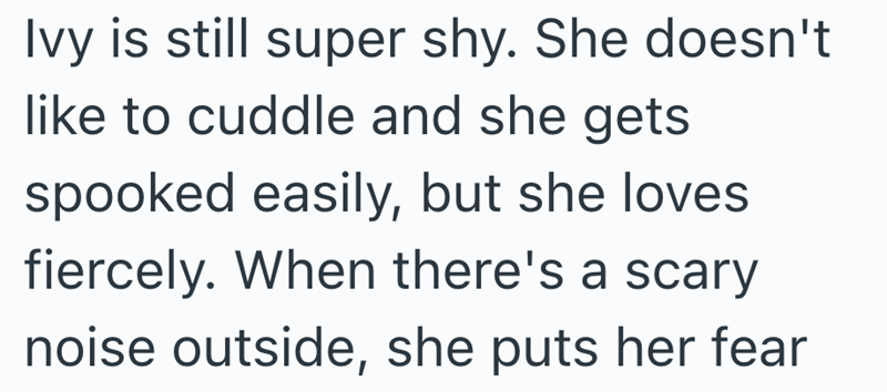 Ivy is still super shy. She doesn't like to cuddle and she gets spooked easily, but she loves fiercely. When there's a scary noise outside, she puts her fear