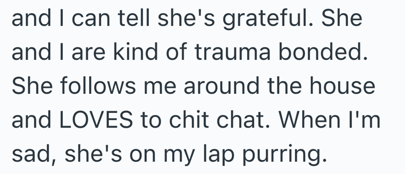 and I can tell she's grateful. She and I are kind of trauma bonded. She follows me around the house and LOVES to chit chat. When I'm sad, she's on my lap purring.