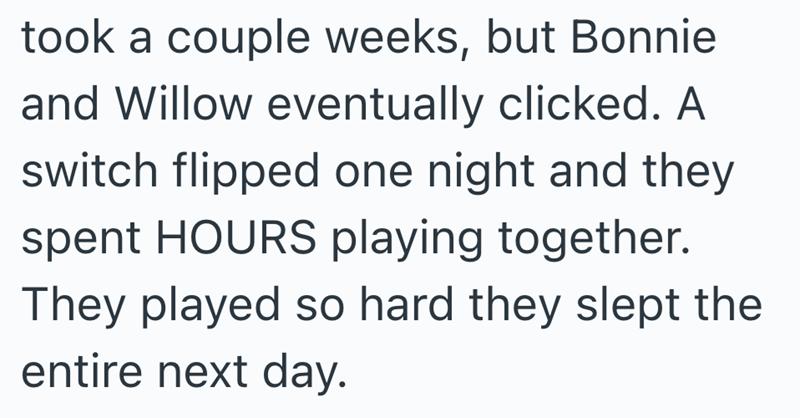 took a couple weeks, but Bonnie and Willow eventually clicked. A switch flipped one night and they spent HOURS playing together. They played so hard they slept the entire next day.