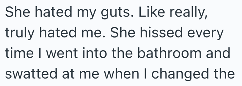 She hated my guts. Like really, truly hated me. She hissed every time I went into the bathroom and swatted at me when I changed the