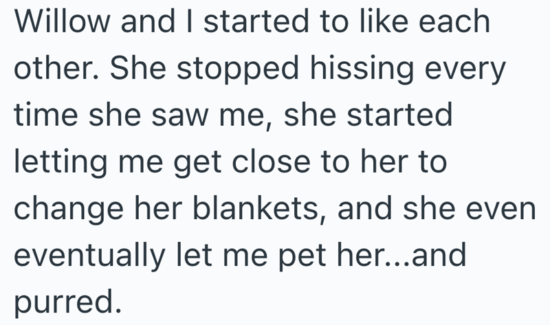 Willow and I started to like each other. She stopped hissing every time she saw me, she started letting me get close to her to change her blankets, and she even eventually let me pet her...and purred.