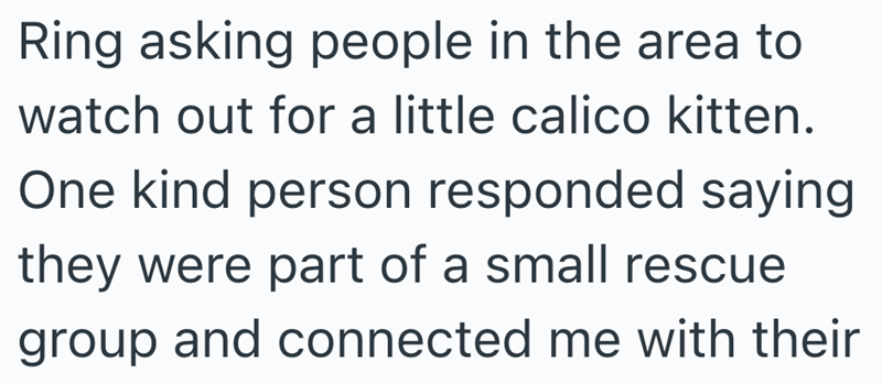 Ring asking people in the area to watch out for a little calico kitten. One kind person responded saying they were part of a small rescue group and connected me with their