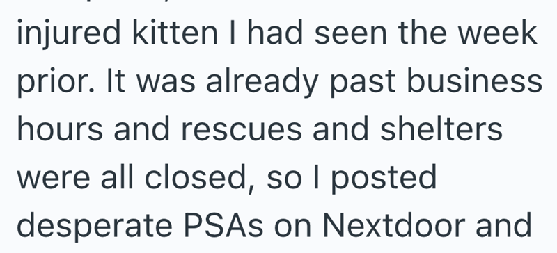 injured kitten I had seen the week prior. It was already past business hours and rescues and shelters were all closed, so I posted desperate PSAs on Nextdoor and