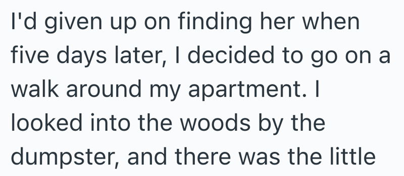 I'd given up on finding her when five days later, I decided to go on a walk around my apartment. I looked into the woods by the dumpster, and there was the little