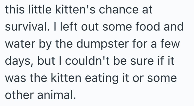 this little kitten's chance at survival. I left out some food and water by the dumpster for a few days, but I couldn't be sure if it was the kitten eating it or some other animal.
