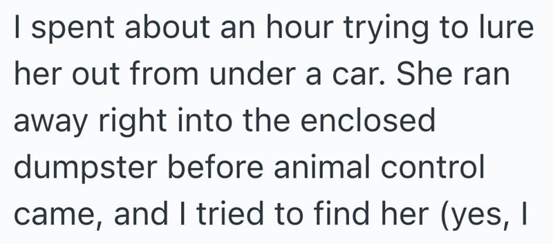 I spent about an hour trying to lure her out from under a car. She ran away right into the enclosed dumpster before animal control came, and I tried to find her (yes, I