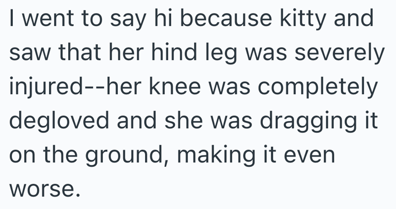 I went to say hi because kitty and saw that her hind leg was severely injured--her knee was completely degloved and she was dragging it on the ground, making it even worse.
