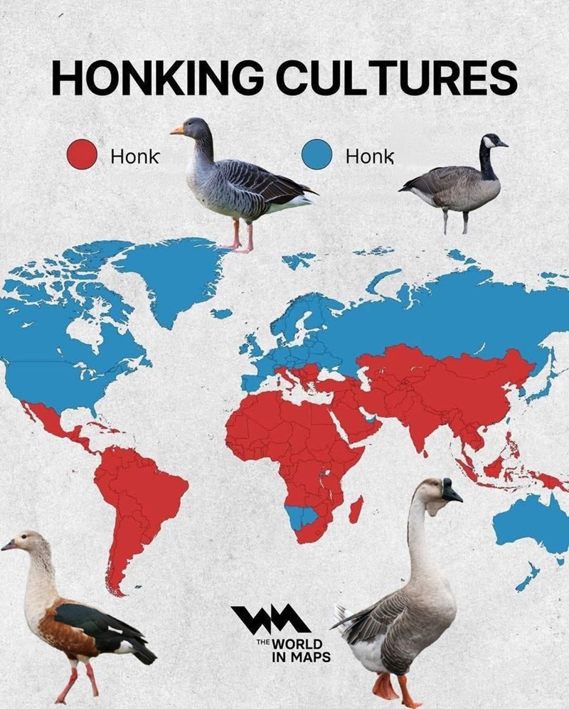 HONKING CULTURES Honk Honk THE WORLD IN MAPS