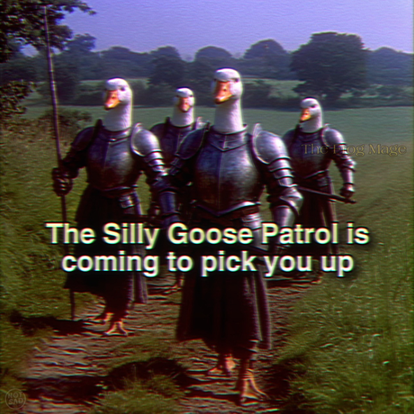 NOT SAD The Fog Mage The Silly Goose Patrol is coming to pick you up