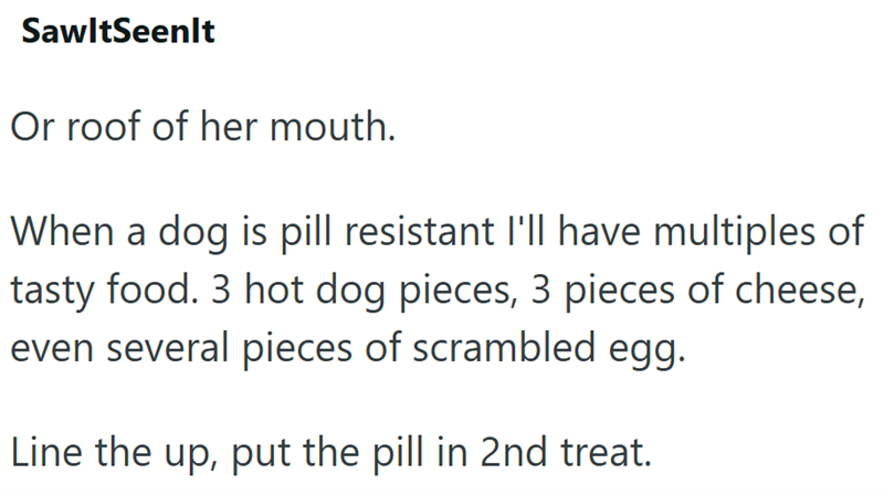 SawltSeenlt Or roof of her mouth. When a dog is pill resistant I'll have multiples of tasty food. 3 hot dog pieces, 3 pieces of cheese, even several pieces of scrambled egg. Line the up, put the pill in 2nd treat.