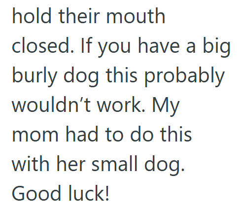 hold their mouth closed. If you have a big burly dog this probably wouldn't work. My mom had to do this with her small dog. Good luck!